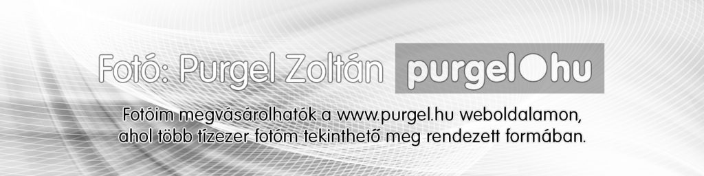 Fotóim megvásárolhatók a Purgel.hu weboldalamon, ahol több tízezer fotóm tekinthető meg rendezett formában.